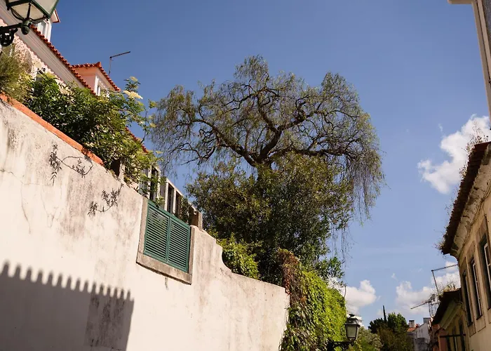 Апартаменти Modern Central 41 Bedroom Haven