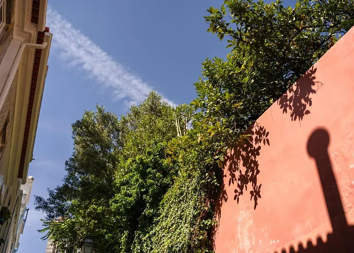 Modern 41 Bedroom Haven Apartment *